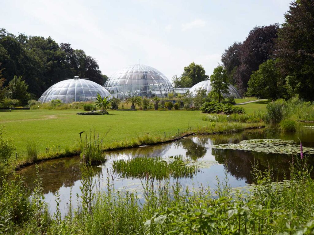 Botanical Garden