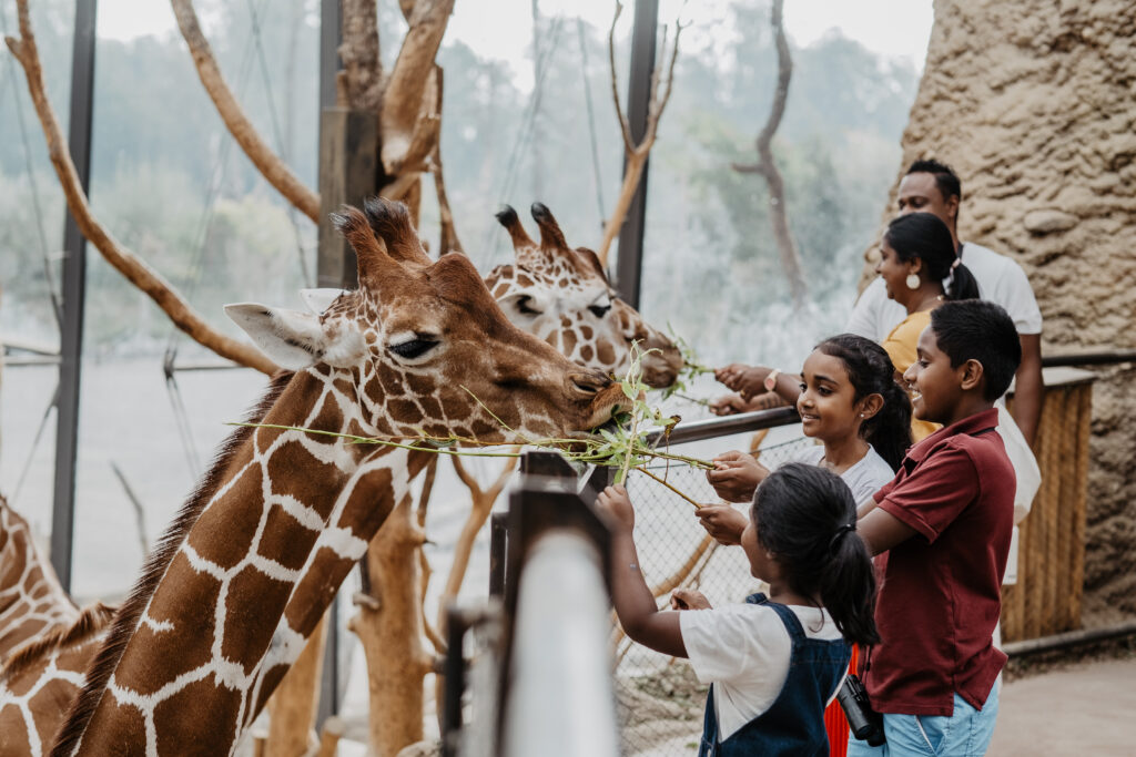 Zurich Zoo